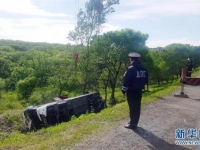 中国游客在俄滨海边疆区遭遇车祸 2人死亡